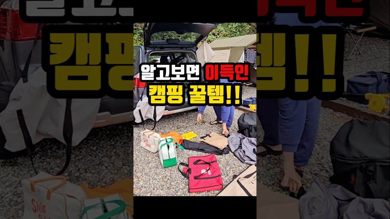알보고면 개이특 꿀템 3가지